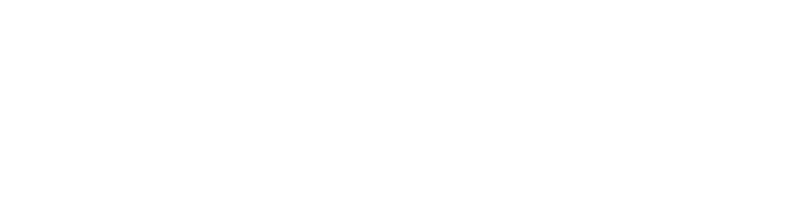 Logo_selexium_media_responsive